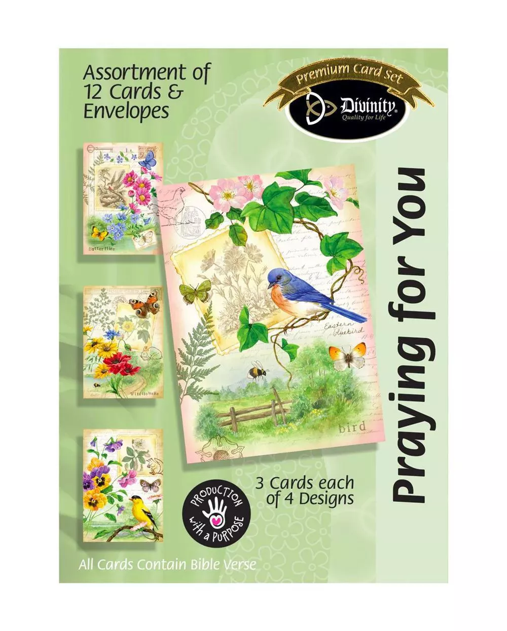 Boxed Cards: Praying For You, Country Wanderings – KJV