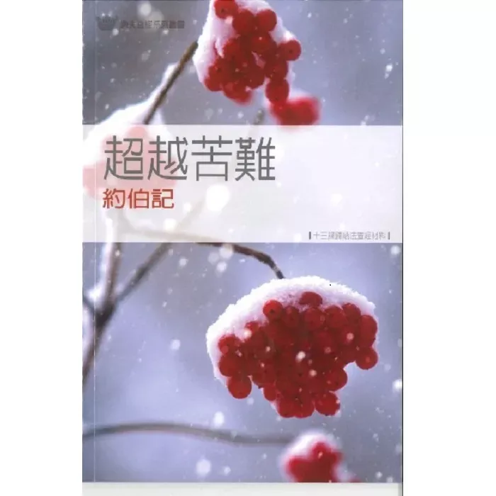 超越苦难：约伯记 / Job: God's Answer to Suffering(Ron King)