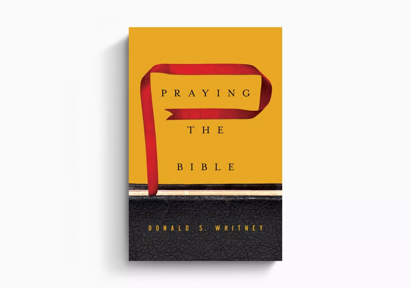 Praying the Bible